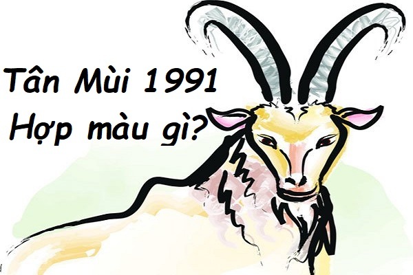 1991 hợp màu gì