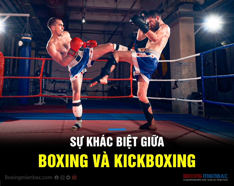 Boxing tập trung vào kỹ thuật đấm, trong khi kickboxing, Muay Thái và MMA có phạm vi kỹ thuật rộng hơn. 