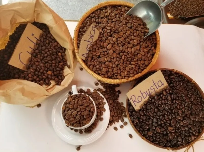 Nên chọn cà phê robusta, arabica hoặc phối trộn để tạo vị đậm, thơm và hậu vị hài hòa.