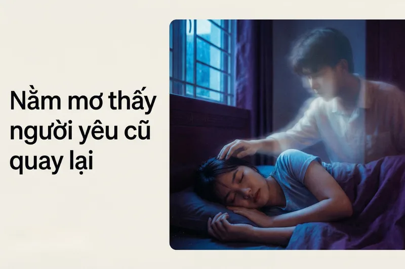Mơ thấy người yêu cũ quay lại thường gắn với cảm giác bối rối, hoài niệm hoặc mong muốn được lắng nghe và thấu hiểu.