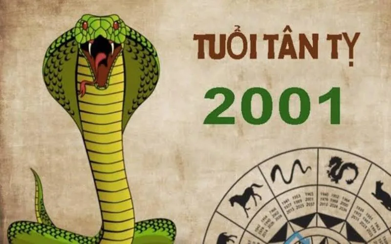 2001 hop mau gi bi quyet chon mau hop tuoi tan ty chuan phong thuy