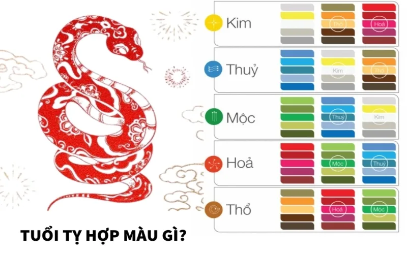 2001 hop mau gi bi quyet chon mau hop tuoi tan ty chuan phong thuy